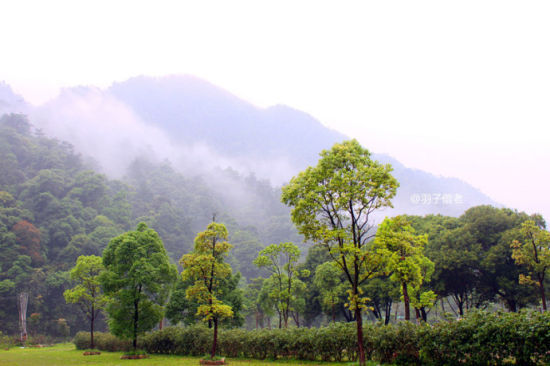 薄雾环绕的姑婆山 图：新浪博主/羽子偕老 